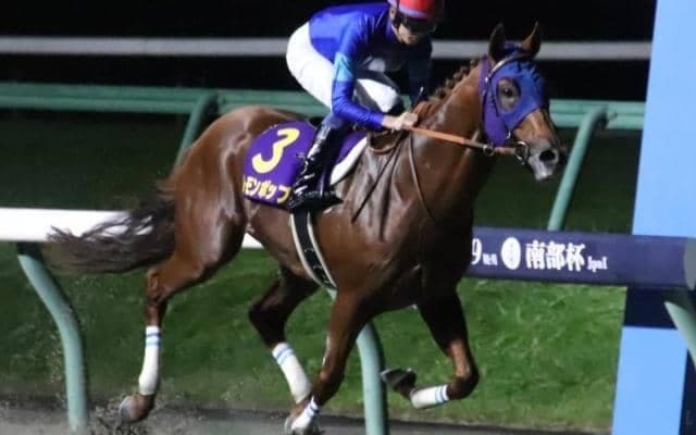 昨年は2秒0差の大楽勝 南部杯で史上初の偉業が生まれるか