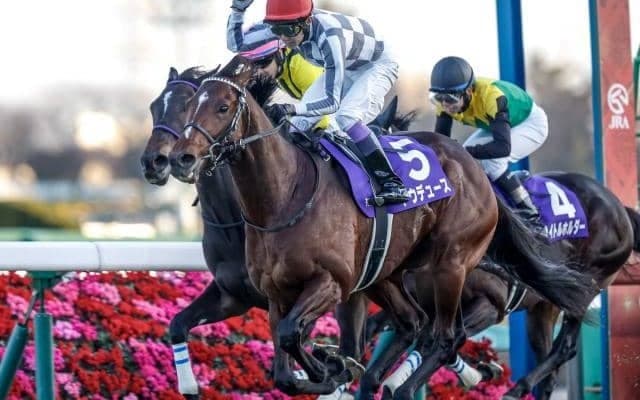 【天皇賞(秋)想定馬・騎手】ドウデュース、リバティアイランドなど16頭