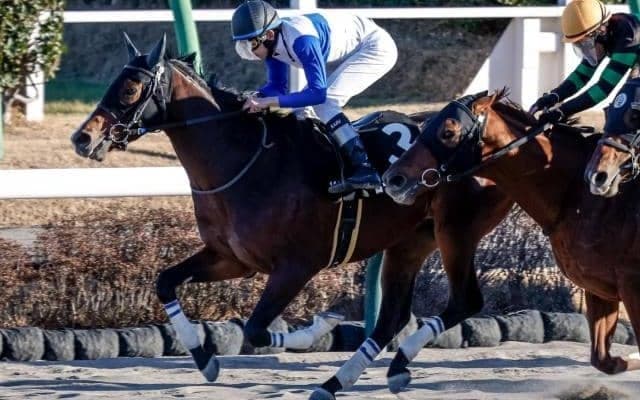 【今日の注目ポイント】3日間開催初日は京都のメインにOP・大阪スポーツ杯