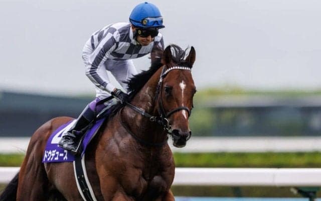 ダービー馬・ドウデュース写真集の発売決定