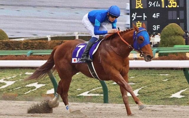 【MCS南部杯／3連単36点】調教で“併走遅れ”レモンポップの評価は　「一発逆転」狙うなら人気盲点のJRA所属馬