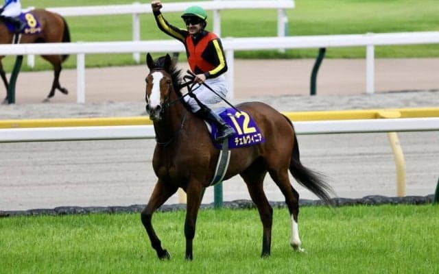 【秋華賞】チェルヴィニアは3枠5番へ