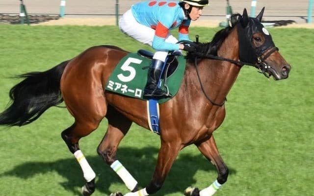 霜降り明星・粗品はミアネーロで好配狙い 馬連＆3連単で勝負だ