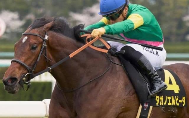 京都芝は高速決着＆ディープ系優勢 キズナ産駒のタガノエルピーダで好配ゲットだ