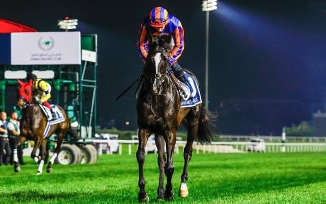 ジャパンC及びキャピタルSの海外からの予備登録馬が発表