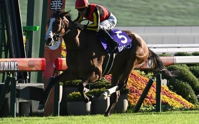 【秋華賞】チェルヴィニアが突き抜けオークスとの2冠達成！