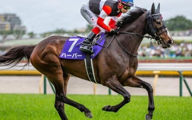 東京芝はハーツクライの血に要注意！ 最内枠ハーパーの復活Vだ