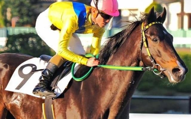 千葉ロッテマリーンズ・吉井監督の愛馬 リジンが特別初勝利なるか