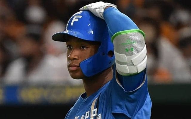 新庄ハムが大逆転勝利でCSファイナル進出に王手！　光った「ロマン砲」の活躍