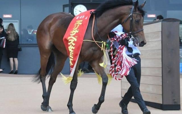 【今日の注目ポイント】東京で府中牝馬Sと地方・盛岡でJpnI南部杯