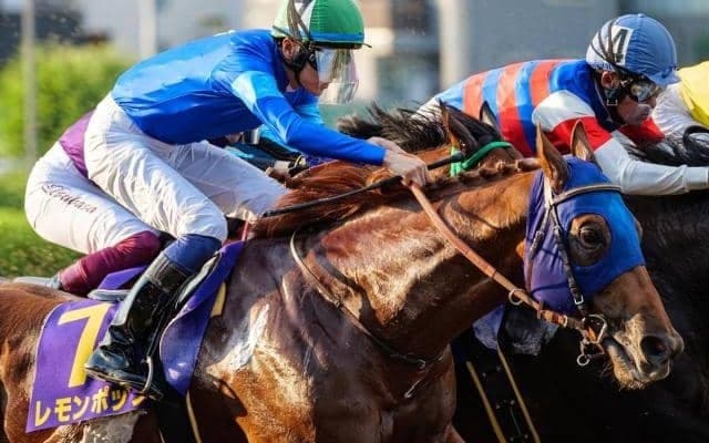 【盛岡・南部杯注目馬】秋のダートマイル王目指し中央・地方から豪華メンバー集結