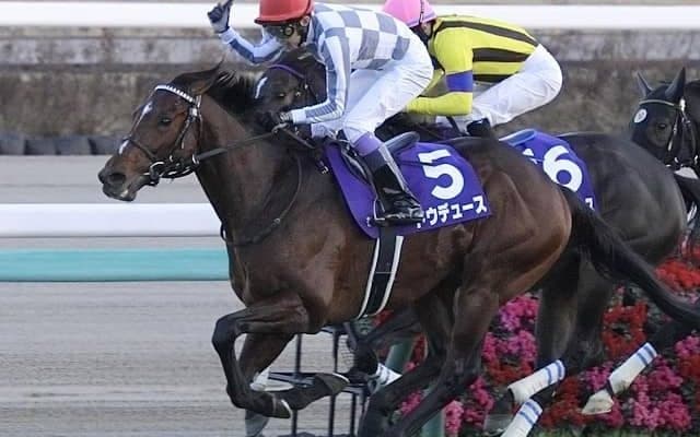 天皇賞(秋)に17頭登録 ドウデュースやリバティアイランドら