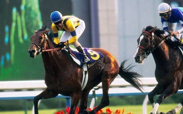 今年はエピファネイア産駒とゴールドシップ産駒にチャンス 父仔制覇の多い3冠最終戦・菊花賞