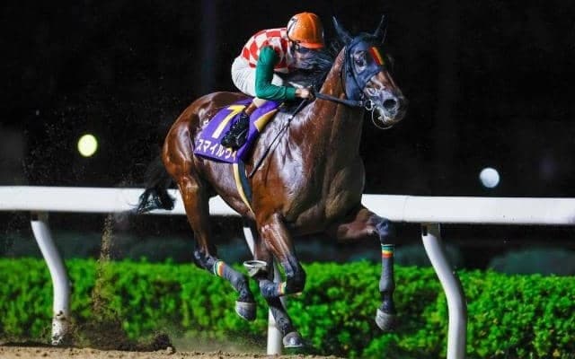 【大井・マイルグランプリ枠順】オーバルスプリントVのスマイルウィは8枠16番