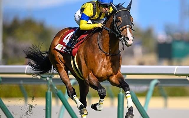 豪G1・コックスプレートの馬券発売が決定 日本からプログノーシスが参戦予定