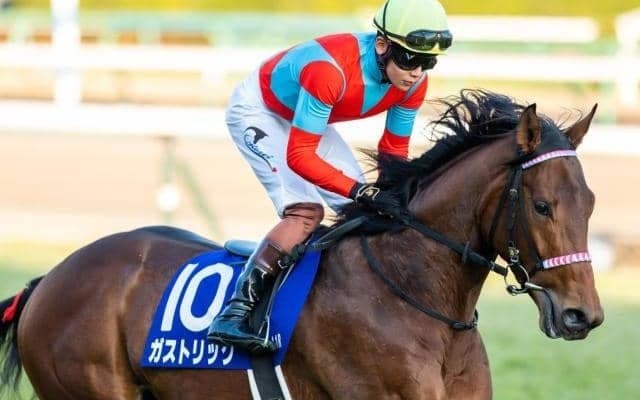 【先週のJRA抹消馬】22年東スポ杯2歳S覇者ガストリック、今年のマーメイドSで2着のエーデルブルーメなど