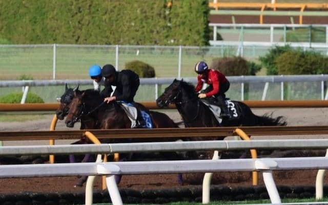 セレクト1歳で2億7000万円 パーティハーンが京都で初陣/関西馬メイクデビュー情報