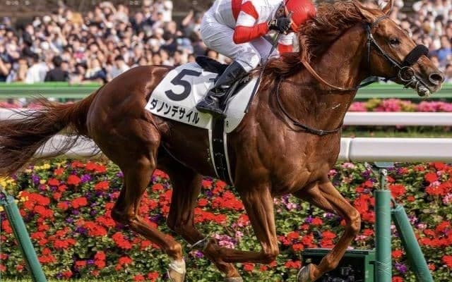 51年ぶり史上3頭目のダービー＆菊花賞二冠へ ダノンデサイルと過去2頭の意外な共通点とは？