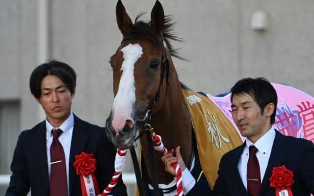 ハービンジャー産駒の“例外” 二冠牝馬チェルヴィニアを支える名牝系の活力