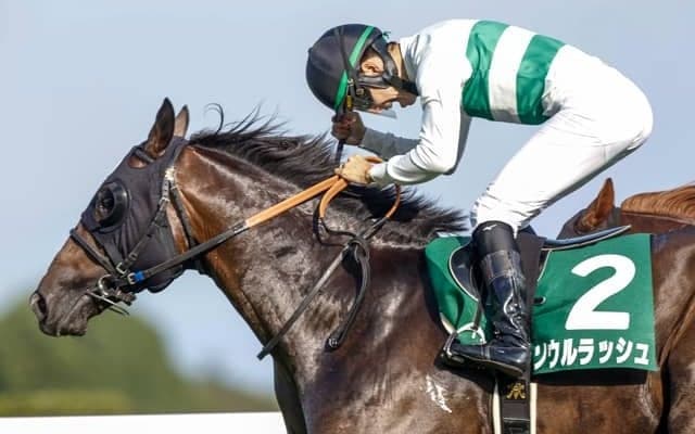 【富士S予想オッズ】ソウルラッシュが予想1番人気