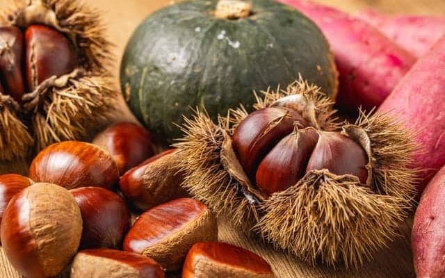 秋の味覚「芋・栗・かぼちゃ」をダイエット中に上手にとり入れるには？