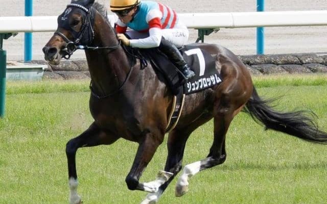 父ワールドエースへ初タイトルを 富士Sに関屋記念で“負けて強し”の5歳馬参戦