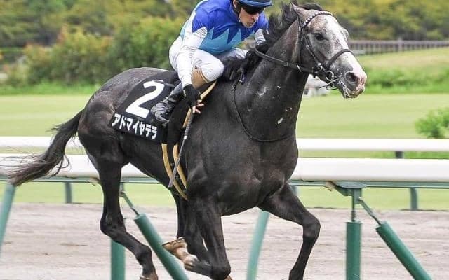 武豊騎手が5年ぶり6回目の戴冠へ 菊花賞はGI初挑戦の血統馬とタッグ