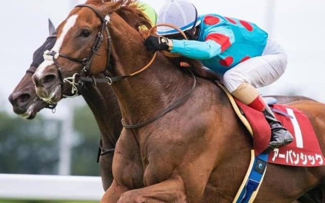 武井亮調教師がGI初制覇なるか C.ルメール騎手とのコンビで悲願達成へ