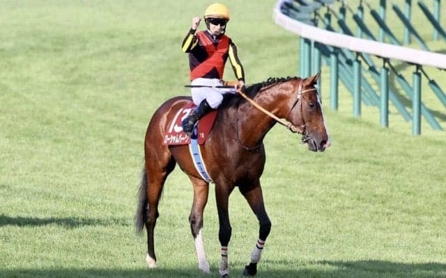 【BCターフ】ローシャムパークはルメール騎手、シャフリヤールはC.デムーロ騎手に決定