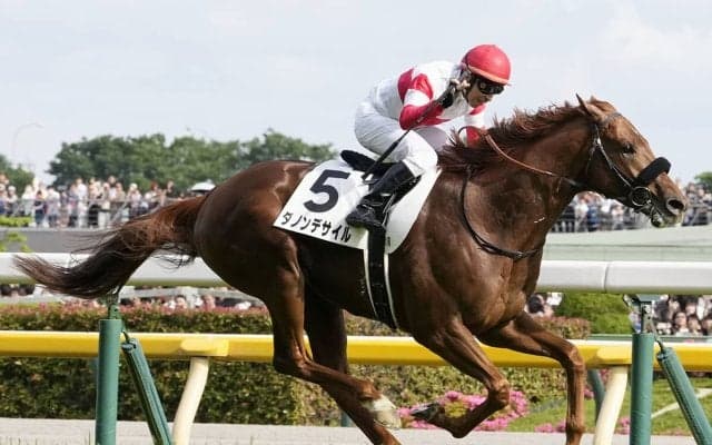 【競馬予想】菊花賞に異例のぶっつけローテで挑むダービー馬ダノンデサイル、二冠達成の確率は？