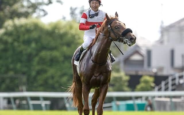 菊の主役は東の“レジェンド” 横山典騎手がダービー馬で26年ぶりV狙う