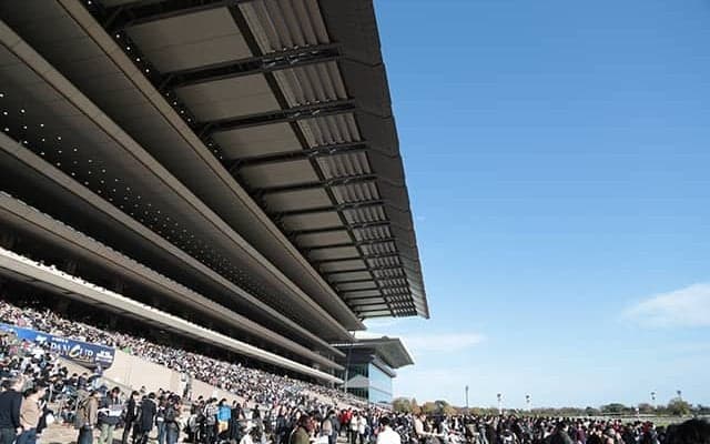 JRAが元メジャーリーガー・イチローさんとコラボを実施