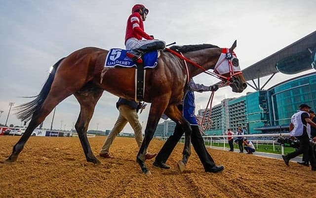 米・ブリーダーズカップ4競走の馬券発売が決定 日本からはフォーエバーヤングら8頭が参戦予定