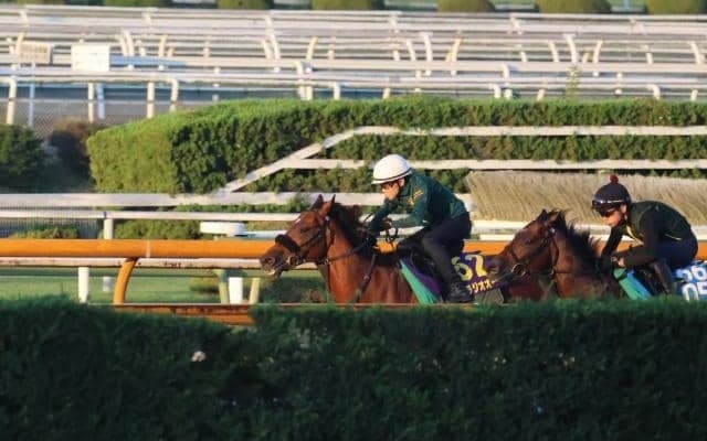 ベラジオオペラなど、天皇賞(秋)1週前追い切り速報/栗東トレセンニュース