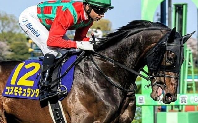 勢い乗る30代トレーナーがGI初制覇へ アルアイン産駒の弥生賞覇者と菊花賞に挑む