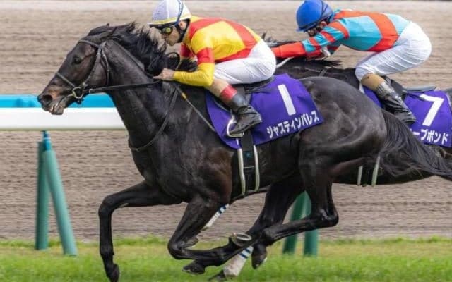 先週レモンポップに併せ先着 ジャスティンパレスの3.1億円半弟がC.ルメール騎手を背に初陣