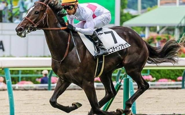 初陣は衝撃の7馬身差V “クラシック候補”との呼び声高いキタサンブラック産駒がアイビーS参戦