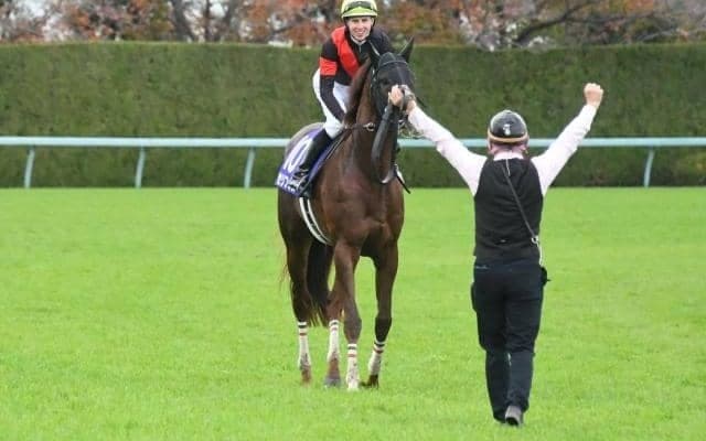 【富士S枠順確定】セリフォスは4枠7番、ソウルラッシュは6枠11番