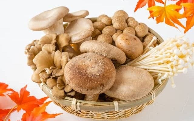 秋の味覚「きのこ」の効果効能
