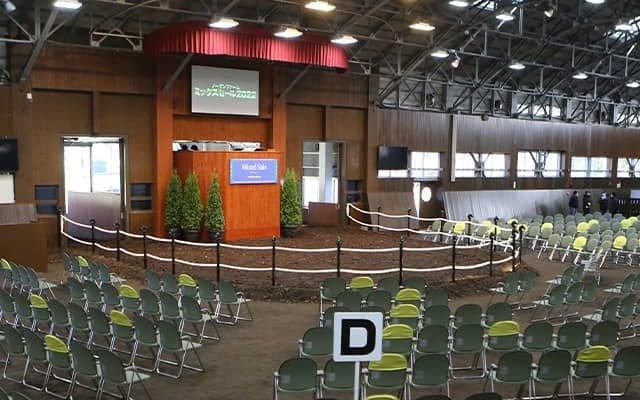 史上初のミリオンホース誕生なるか ミックスセール2024が22日に開催