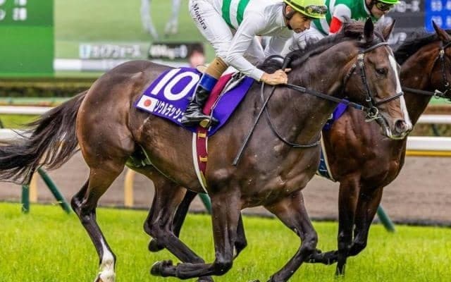 富士Sは湿り気が残った馬場かも ソウルラッシュが堅軸だ