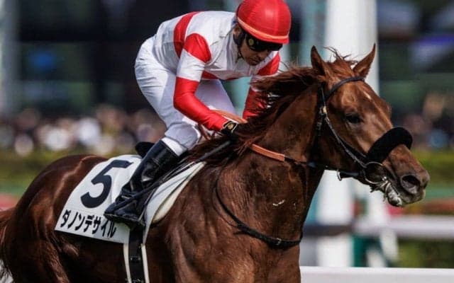 【菊花賞】ダービー馬・ダノンデサイルは2枠4番