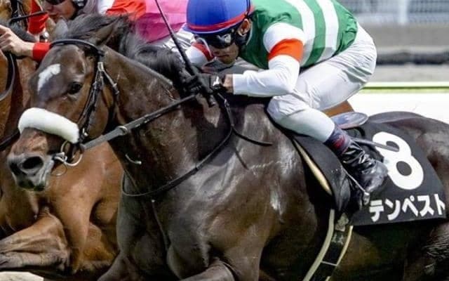 名牝シーザリオの最後の仔 初ダートで待望の2勝目挙げるか