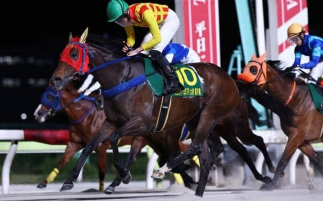 【YJS大井】JRA大江原比呂が暫定1位