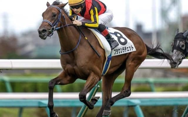 【アルテミスS想定馬・騎手】ブラウンラチェット、シホリーンなど11頭