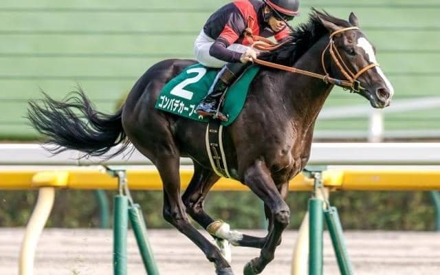 【今日の注目ポイント】東京でマイルCSの前哨戦・富士S