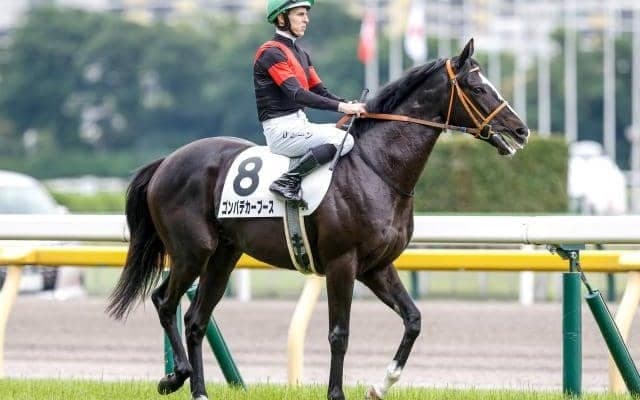 【富士S予想】実力馬有利の条件設定ながら波乱傾向 マイルCS前哨戦を制すのは？