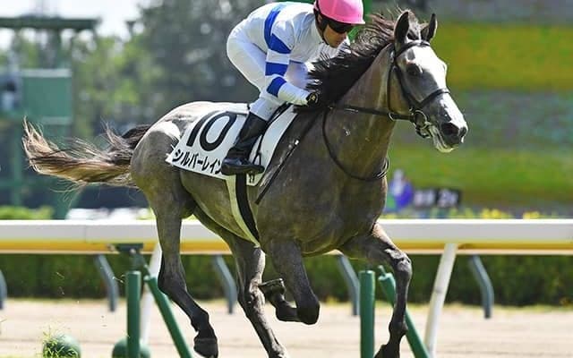 前走5馬身差V 国内外でGI・2勝の名牝の初仔が出世レースで連勝狙う