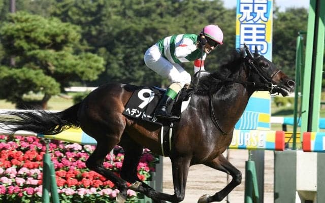 【競馬血統予想】菊花賞で注目はキングカメハメハ系　過去10年のデータから穴馬２頭をピックアップ