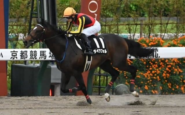 【オータムリーフS結果】ライツフォルが2番手から抜け出しオープン初勝利